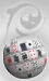 PW SilverMember.png